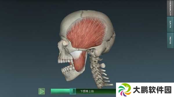 人体解剖学图谱解锁付费高级版下载