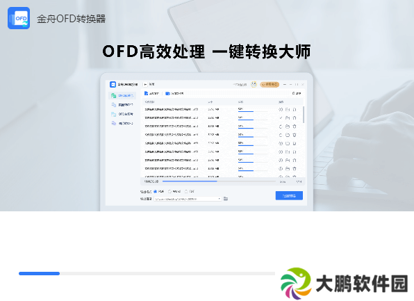 金舟OFD转换器